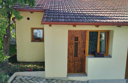 Svinarov Apartamento | Malé útulné studio s koupelnou a kuchyňkou