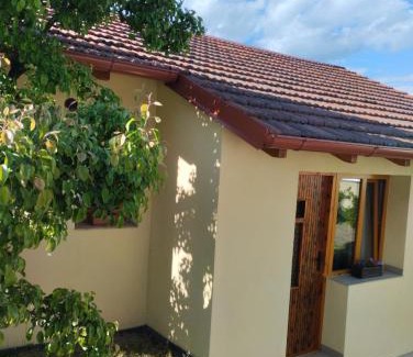 Svinarov Apartamento | Malé útulné studio s koupelnou a kuchyňkou
