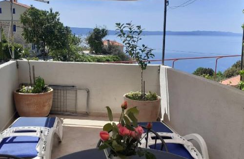 Podgora Apartamento | Mala Cele