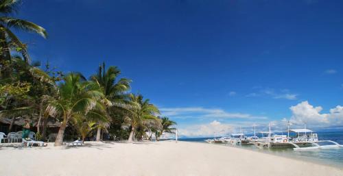 Amambucale Complejo | Malapascua Exotic Island Dive Resort
