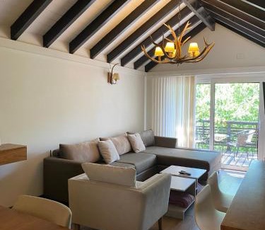 Lanin National Park Apartamento | Malbec Suites