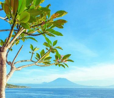 Penida Island Complejo | Malibu Huts