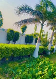 Panipat Casa | Malik farm house