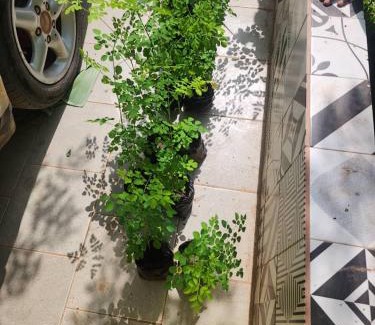 Brusubi Apartamento | Malikia apt Mo