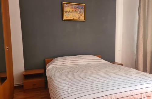 Bacau Apartamento | Mall Zone 100mp apartments
