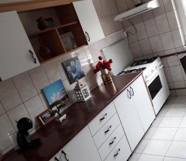 Bacau Apartamento | Mall Zone 100mp apartments