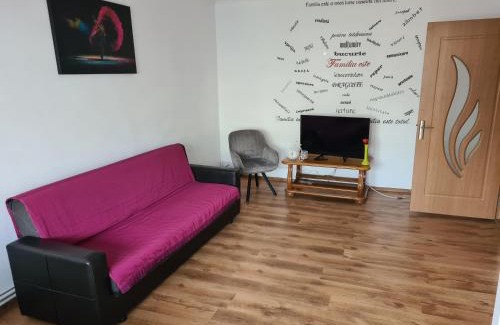 Bacau Apartamento | Mall Zone 100mp apartments