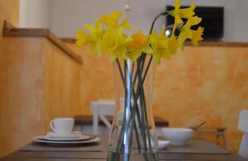 Rovinjsko Selo Apartamento | Mama Residence
