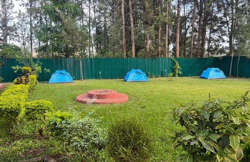 Sagana Casa | Mambo Comfort sagana