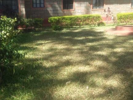 Sagana Casa | Mambo Comfort sagana