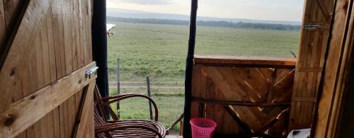 Nakuru Complejo | Mambo Game View