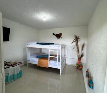 Ibague Casa | Manaju - Finca Campestre y Glamping