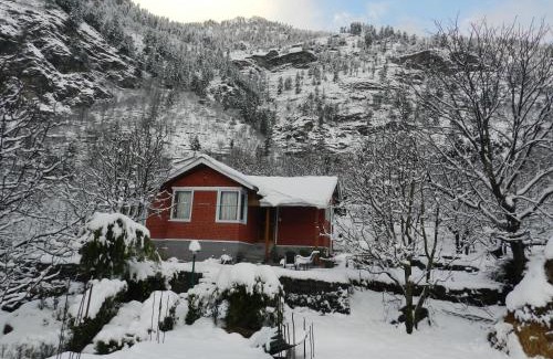 Manali Casa | Manali Treehouse Cottages