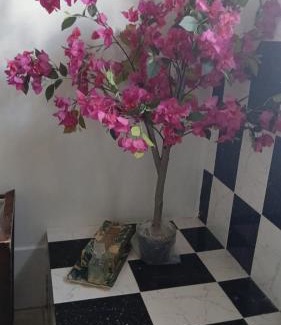 Mandeville Apartamento | Mandeville Chateau