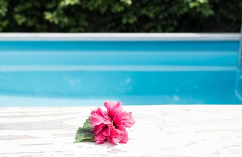 Ngatangiia Casa | Mango Cottage with AC, Unlimited Wifi and Private pool