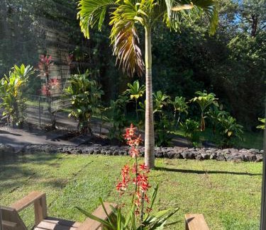 Kailua-Kona Cama Y Desayuno | Mango Sunset Bed and Breakfast