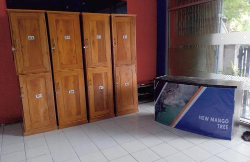 Banyuwangi Casa | Mango Tree Homestay & Ijen Tour