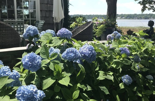 Port Washington Casa | Manhasset Bay Waterfront Cottage. Fácil viaje diario a Nueva York y un entorno tranquilo y pacífico