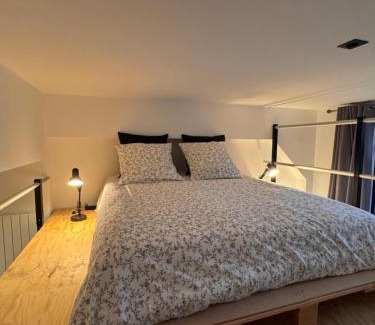 Troyes Apartamento | Manhattan Loft - centre - 5 mn à pied gare - parking privé - patio