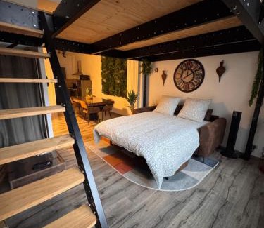 Troyes Apartamento | Manhattan Loft - centre - 5 mn à pied gare - parking privé - patio