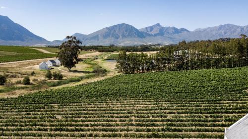 Tulbagh Cama Y Desayuno | Manley Wine Estate