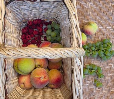 Laignes Cama Y Desayuno | Manoir de L'Echauguette