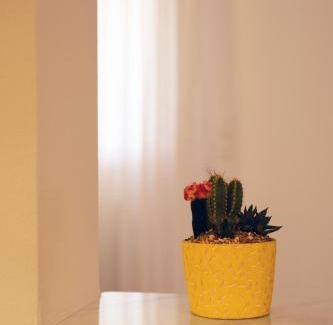 Kropia Apartamento | Manolia house near beach