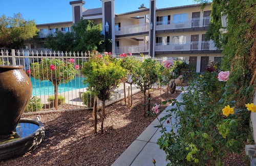 Las Vegas Apartamento | Manor Suites