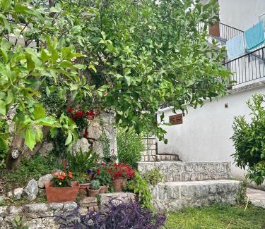Dobrota Apartamento | Mansarda apartment