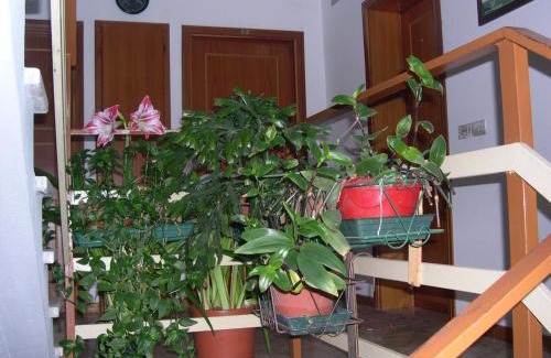 Pian di Novello Apartamento | Mansarda in montagna