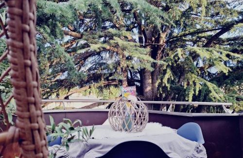 Merano Apartamento | Mansarde Zeder in Privatvilla im Zentrum Merans