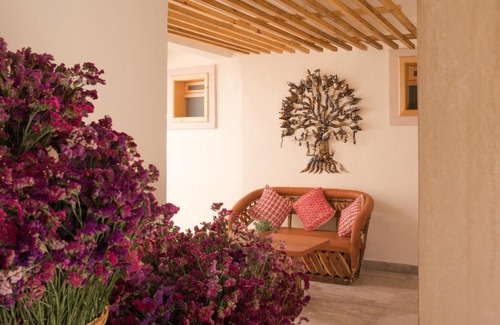 Barrio de La Merced Hotel | Mansion Primavera
