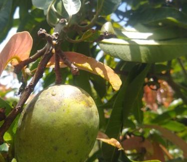 Goncalves Casa | Mantiqueira lar doce lar