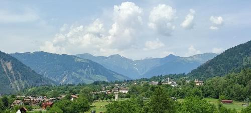 Fielis Apartamento | Manuel Guesthouse Arta terme
