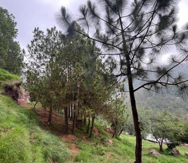 Murree Hotel | Manzara Hotel & Restaurant