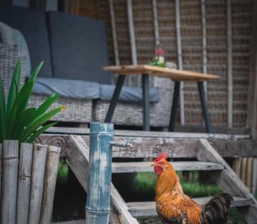 Gili Meno Complejo | MaoMeno Yoga Resort