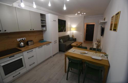 Baia Mare Apartamento | MARA COZY APARTMENT