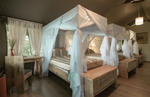 Talek Cabina | Mara Maisha Camp