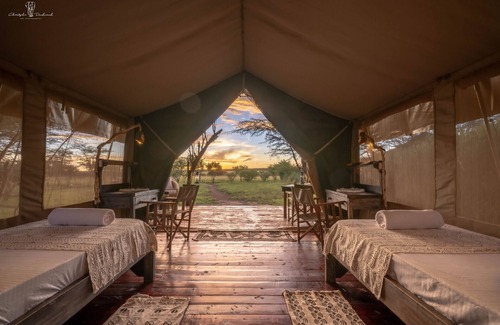 Mara North Conservancy Otro | Mara Major Camp