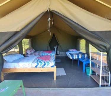 Maasai Mara Cama Y Desayuno | Mara Sidain safaris