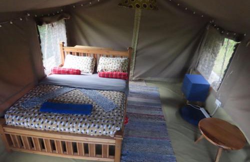 Maasai Mara Cama Y Desayuno | Mara Sidain safaris