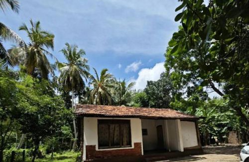 Marawila Casa | Marawila