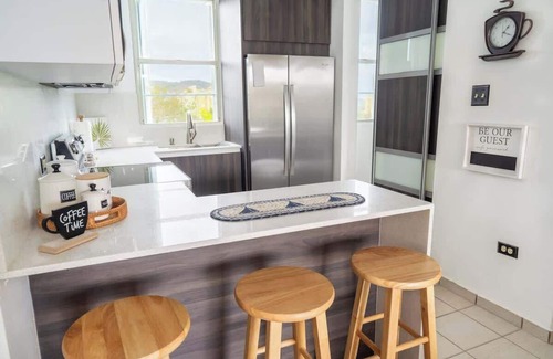 Machos Condominio | Marbella | PH Rooftop Oasis in Costa Brava, Ceiba
