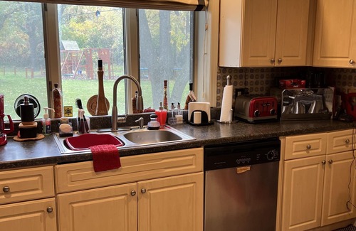 Southfield Casa | Marcia’s Woodsy Wonderland Suite in Detroit Suburb