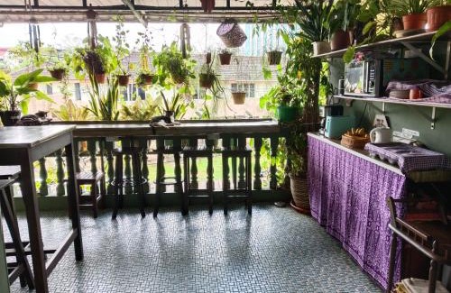 Kuching Casa | Marco Polo Guest House