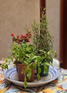 Pozzallo Apartamento | Marea