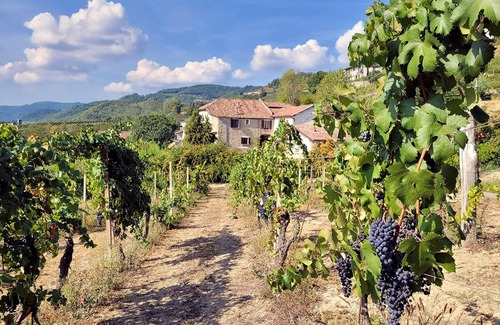 Cessole Casa | MARENCO LANGHE COUNTRY HOUSE Barbera | with pool, garden, view, wi-fi
