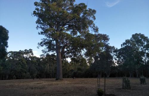 Margaret River Apartamento | Margaret House