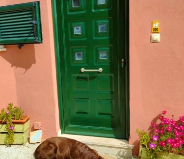 Lakka Apartamento | Margarita Apartments Paxos - Studio Kam