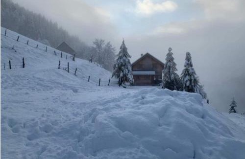 Reichenau Cabina | Marhütte